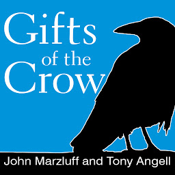 Obraz ikony: Gifts of the Crow: How Perception, Emotion, and Thought Allow Smart Birds to Behave Like Humans