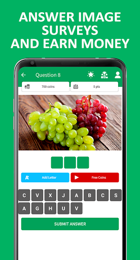 Image Cash - Earn money by answering image surveys