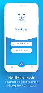 FotoInsect - Bug AI Identifier