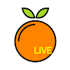 Live O Video Chat icon