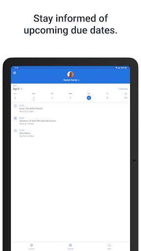 Screenshot of Canvas Parent