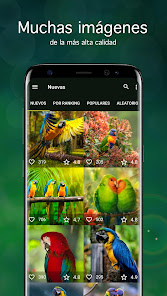 Captura de Pantalla 1 Fondos de pantalla con loros android