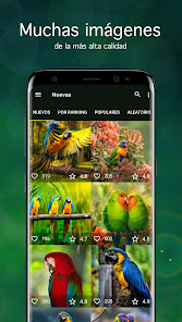 Captura 1 Fondos de pantalla con loros android