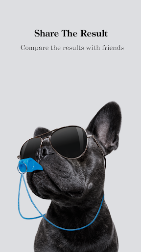 Which Dog Breed Are You? Screen 2