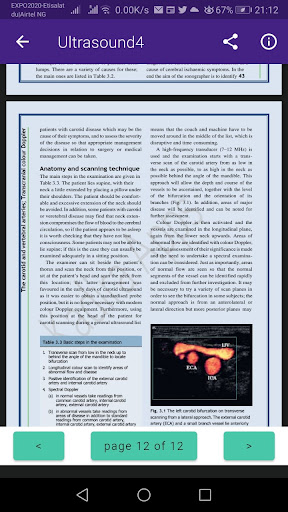Clinical Doppler Ultrasound Screen 3
