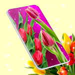 Cover Image of Download Tulips Spring Live Wallpaper  APK