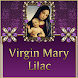 Virgin Mary Lilac Go SMS theme - Androidアプリ
