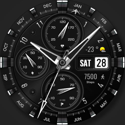 WFP 308 Business watch face Logo