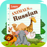 Learn Animal Names in Russian Language icon