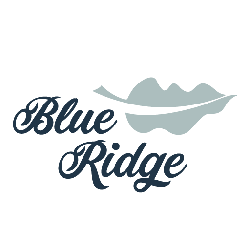 Visit Blue Ridge GA! logo