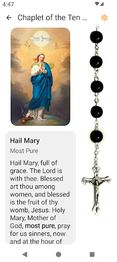 Android application Saint Stanislaus Papczynski screenshort