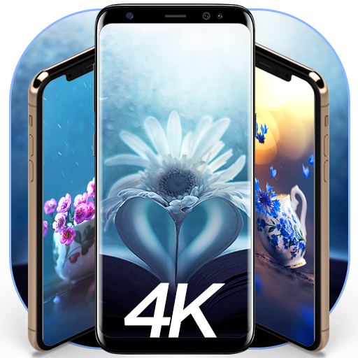 Blooming Flower Pot 4K Wallpaper ?