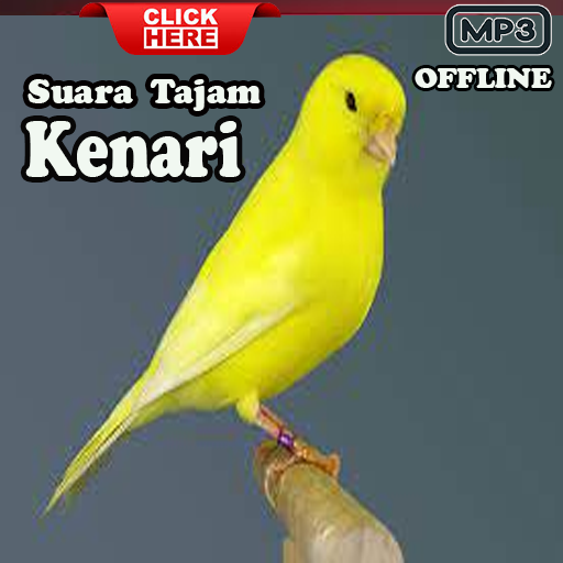 Suara Masteran Kenari Juara Download on Windows