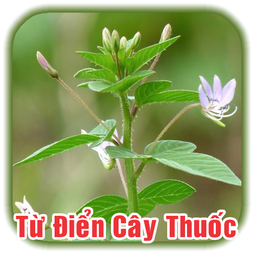 Từ Điển Cây Thuốc Đông Y Việt logo