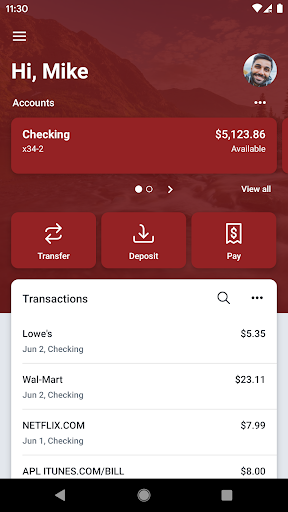 Native American Bank Screen 2