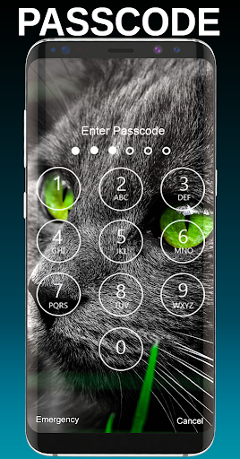 Cute Cats Wallpapers Screen 2