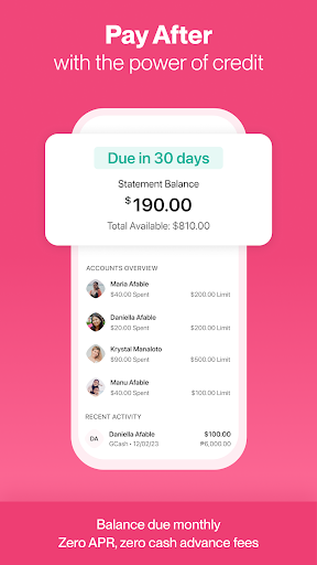 Pomelo: Send Money Screen 3