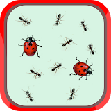 Ladybug and ants icon