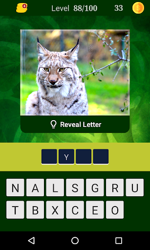 Guess the Animal Riddles