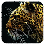 Jaguar Wallpaper icon