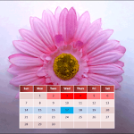Cover Image of Download My Menstrual Diary  APK