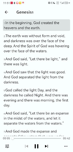 Bible - Reading Audio Software Screen 3