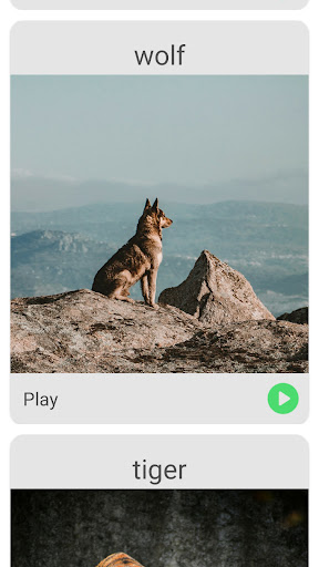 Animal Voice Screen 3