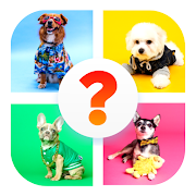 Top 35 Trivia Apps Like Dog Breed Quiz Game (Dog Game) - Best Alternatives