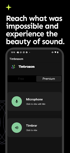Timbrasom - Experience Screen 2