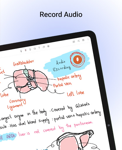Screenshot of Noteshelf - Notes, Annotations