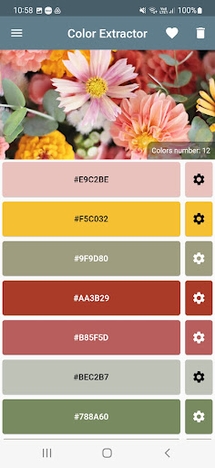 Colors Extrator Screen 2