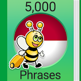 Speak Indonesian - 5000 Phrases & Sentences icon