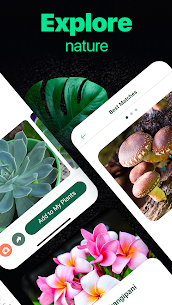 NatureID- Plant Identification Premium Apk 4