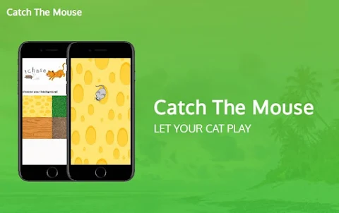 Catch The mouse for cats