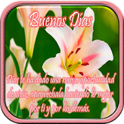 Top 40 Entertainment Apps Like Flores con frases cristianas - Best Alternatives