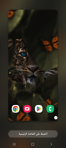 Android application 2022 Wallpapers Tigers (1) 4K screenshort