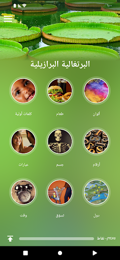 معاينة التطبيق