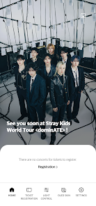 Amazon.com: SAYZER Stray Kids Official Light Stick Ver 2