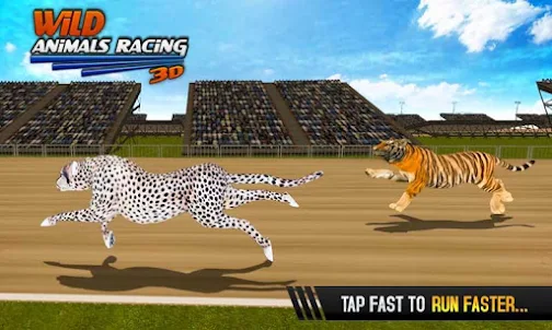 Wild Animals Racing 3D