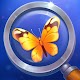 Tiny Things: hidden object games Download on Windows