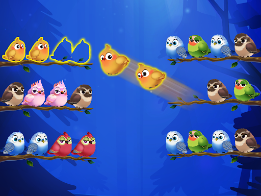 Android application Bird Sorting Mania screenshort