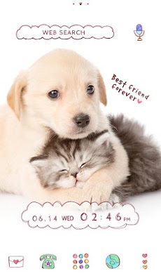 かわいい動物 壁紙アイコン レトリバーの子犬と子猫 Androidアプリ Applion
