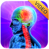3D Animation Medical Videos icon
