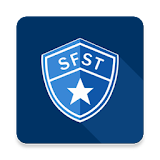 SFST Report icon