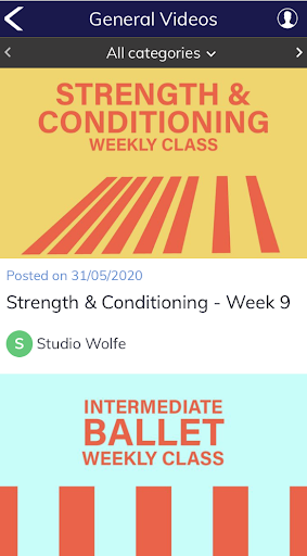 Studio Wolfe Screen 2