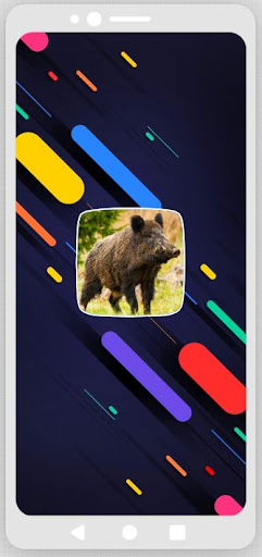 Android application Wild Boar Sounds screenshort