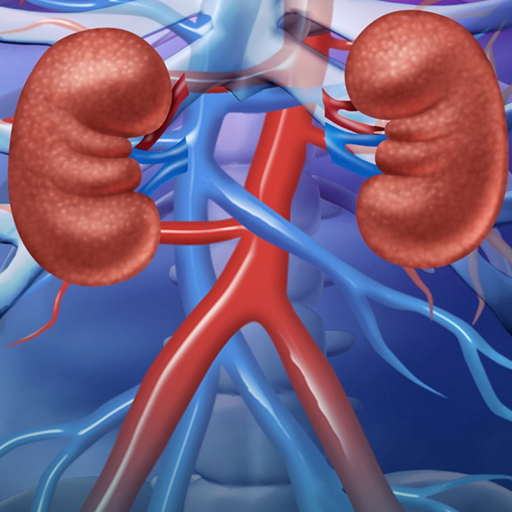Renal System logo