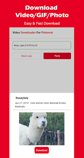 Video Downloader For Pinterest 8