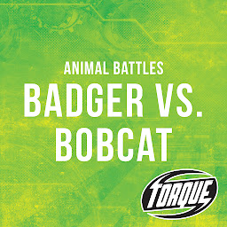 Obraz ikony: Badger vs. Bobcat