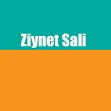 Ziynet Sali Top song icon